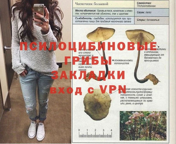 стафф Нея