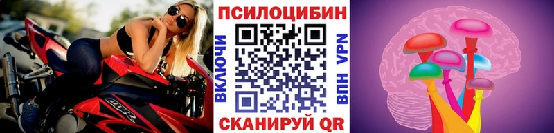 Галлюциногенные грибы Psilocybe Сызрань